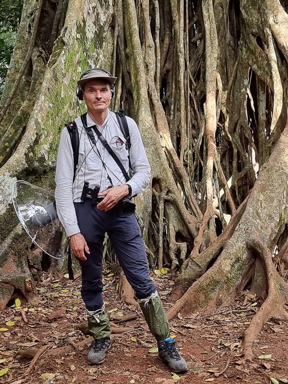 En forêt tropicale (photo : Fernand Deroussen)